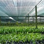 Agriculture Shade Net