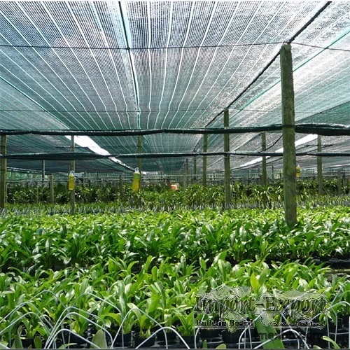 Agriculture Shade Net