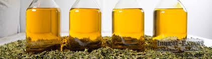 Cannabis Flower Oil