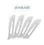 Surgical Blade