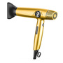 BLDC Hair Dryer