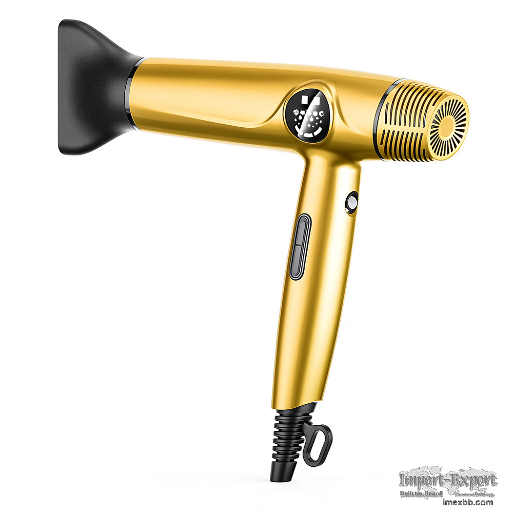 BLDC Hair Dryer
