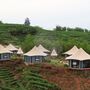 Luxury Tensile Structure Glamping Hotel Tent