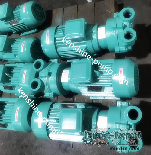 2BV Single stage liquid ring vacuum pump with flange or threaded suction an