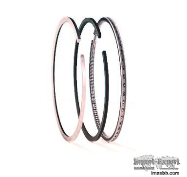 Motorcycle Piston Ring