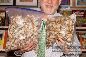 Buy Magic Mushrooms Online Canada  Easy Purchase