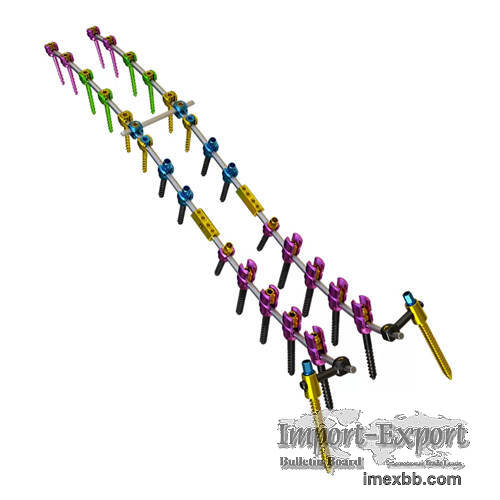 Posterior Thoracolumbar Spinal System 5.5