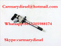 VDO Common rail injector 5WS40156, A2C59511601 for FORD 1373550, 1483820, 3