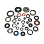 Radial Lip Shaft Seal FKM Material Spring Loaded Imperial Size Series