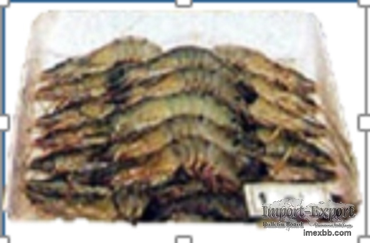 Frozen Shrimp