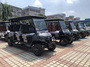 Customized Golf Carts, Utility Vehicles, Sightseeing Buses Manufacturers & 