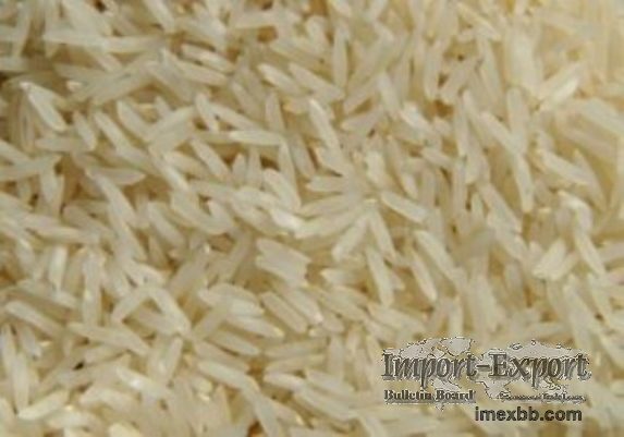 Rice IRRI-6
