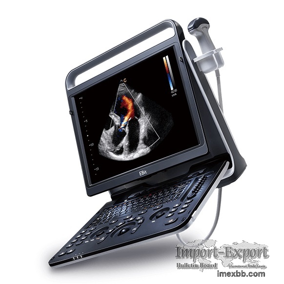 ultrasound for knee pain