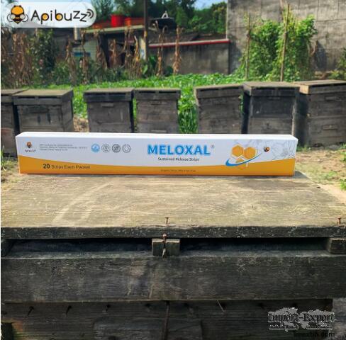 MELOXAL High-Dose Oxalic Acid Strips