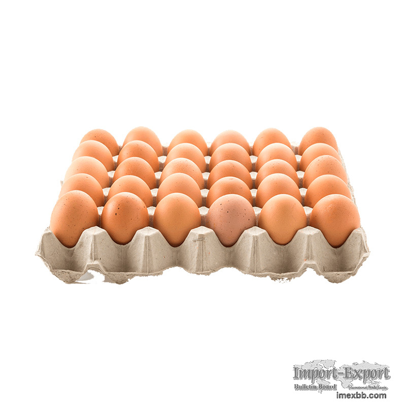 Fresh Chicken Table Eggs for Sale