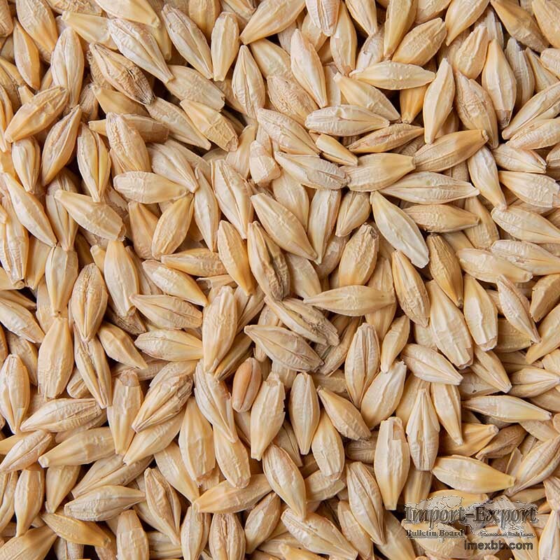 Rice, Barley, Wheat, Flour, Oats, Sugar