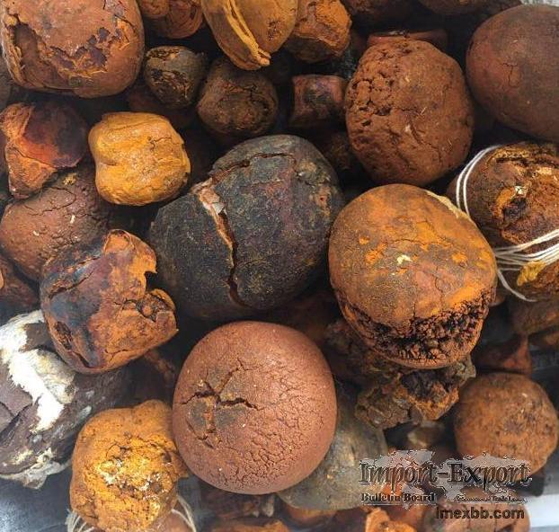 Buy cow /Ox Gallstone Available On Stock Now @ (WhatsApp: +237673528224)
