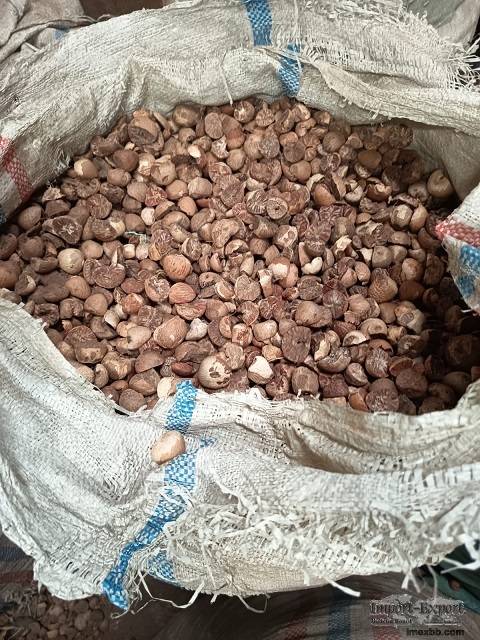 Roating Betelnuts grade 70 - 75 %