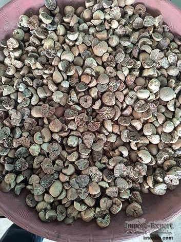 Roating Betelnuts grade 80 - 85 %