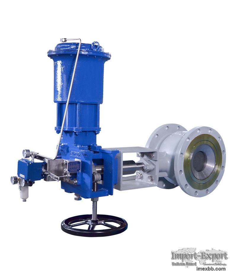Eccentric Rotary Control Valve