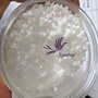 Fischer Tropsch wax white granules used in candle