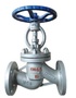 Plunger globe valve