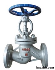 Plunger globe valve