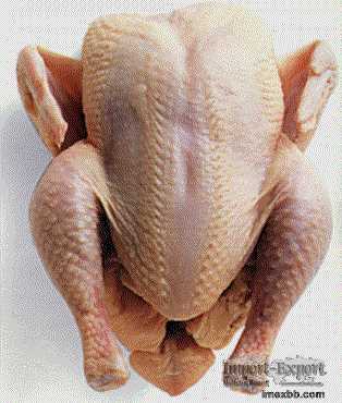 Frozen Chicken