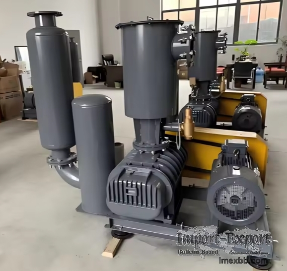 Lt 200 Roots Blower Positive Pressure Suitable for Industrial Heavy-Duty Ap