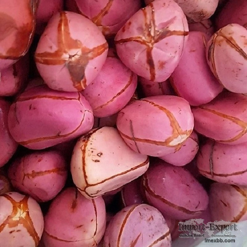 Premium Red Kola Nuts Cola acuminata