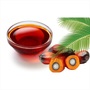 Premium Grade Crude Palm Oil (CPO)