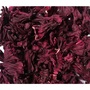 Premium Dried Hibiscus Flowers