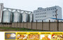 Multi-story Steel Structure Wheat Flour Milling Plant