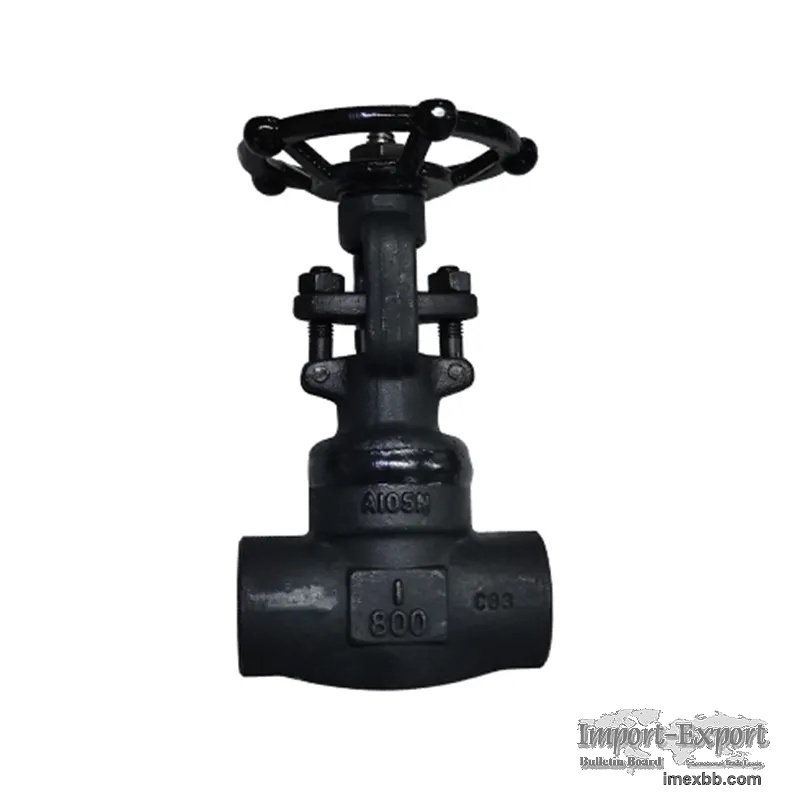 Forged Steel Gate Valve