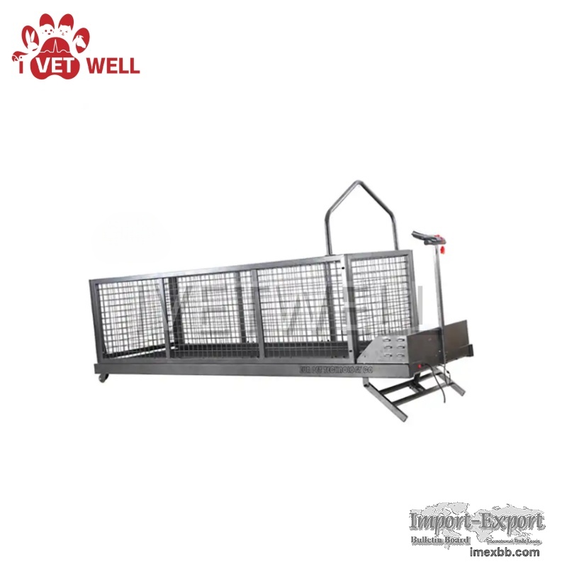 High-End Electric Incline Pet Treadmill Series Enhancing Pets' Physical Per