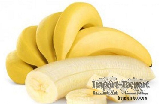 Banana Cavendish