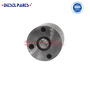 Nozzle Sprayer DLLA144P2725 supplier