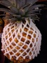 Pineapples