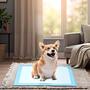 Carbon Dog Pet Pad Activated Charcoal Pet Training Pad Odor Capturing