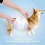 Disposable Pet Diaper Soft Female Male Dog Pet Diaper Disposable NAPPY 