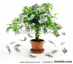 Business and Project Loans/Financing Available