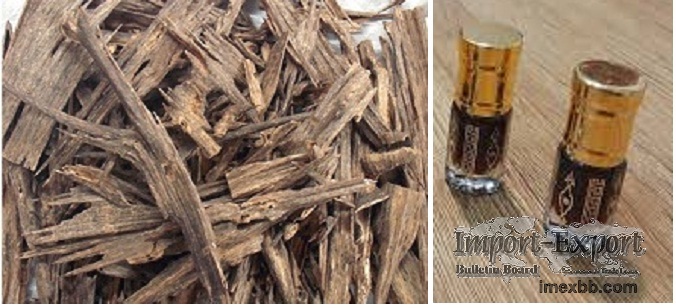Agarwood (Oud, Gaharu, Eagle wood)