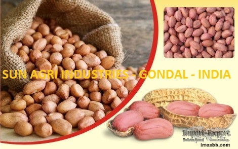 GROUNDNUT