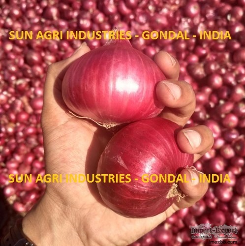 Onion