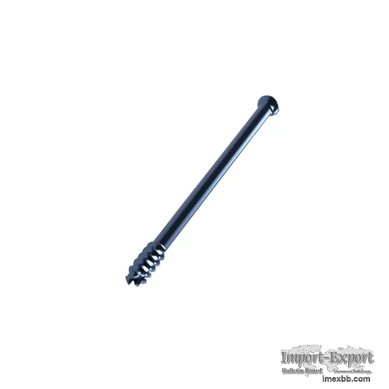 Ball-headed Cannulated Screw