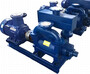 2BE Water-ring vacuum pump