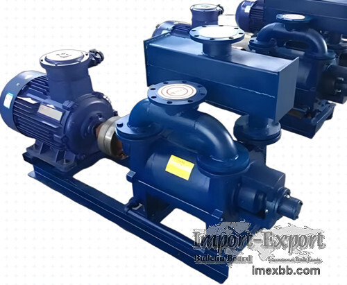 2BE Water-ring vacuum pump