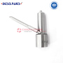 Nozzle Sprayer 0 433 172 029