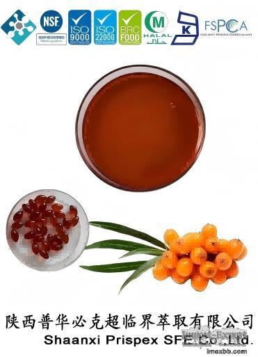 Natural Sea Buckthorn Extract Super Critical CO2 Seabuckthorn Berry Oil