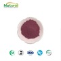 Natural Cranberry Fruit Powder, 25% Anthocyanin, Food Grade Raw Material
